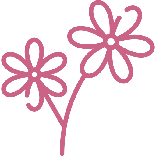 Feature icon
