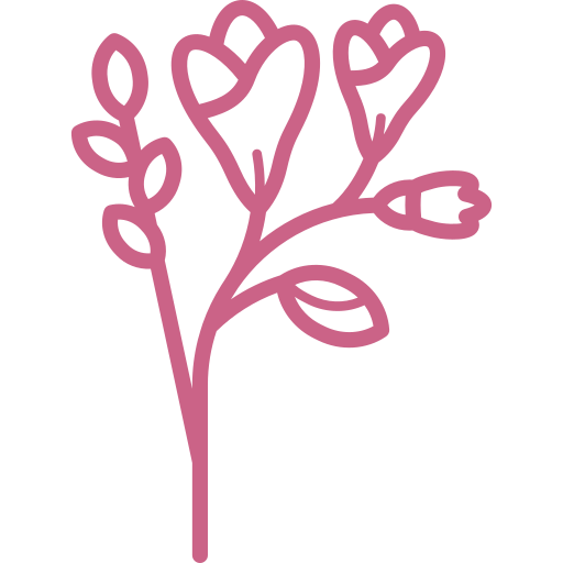 Feature icon
