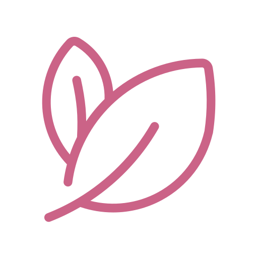 Feature icon