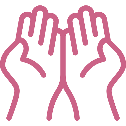 Feature icon